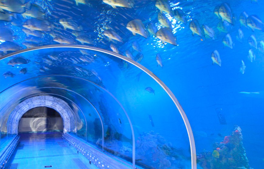 aquarium hurghada price