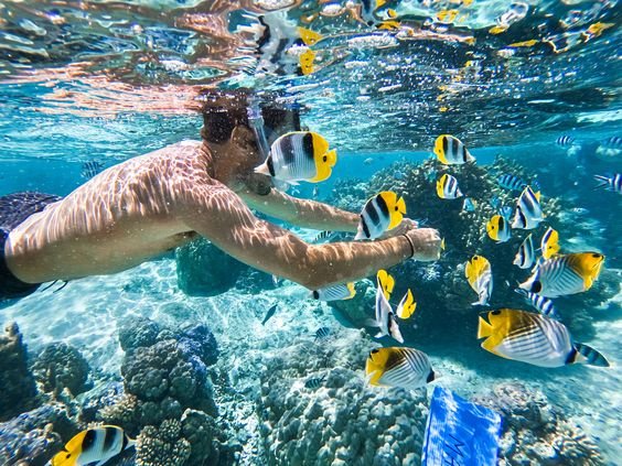 the Best Marsa Alam Snorkeling Trips