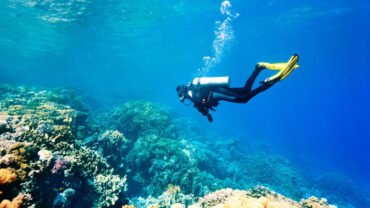 Marsa Alam Excursions