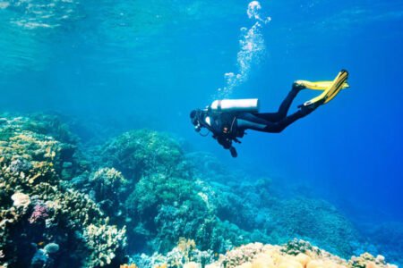Marsa Alam Excursions