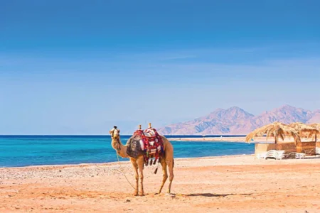 Marsa Alam Tour Operator