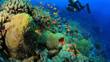 Marsa Alam Tours Erfahrungen
