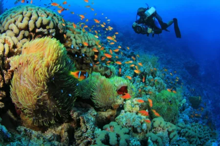 Marsa Alam Tours Erfahrungen