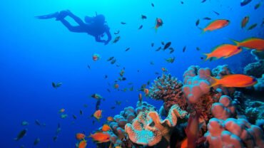 Best Places to Snorkel in Egypt