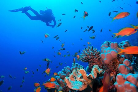Best Places to Snorkel in Egypt