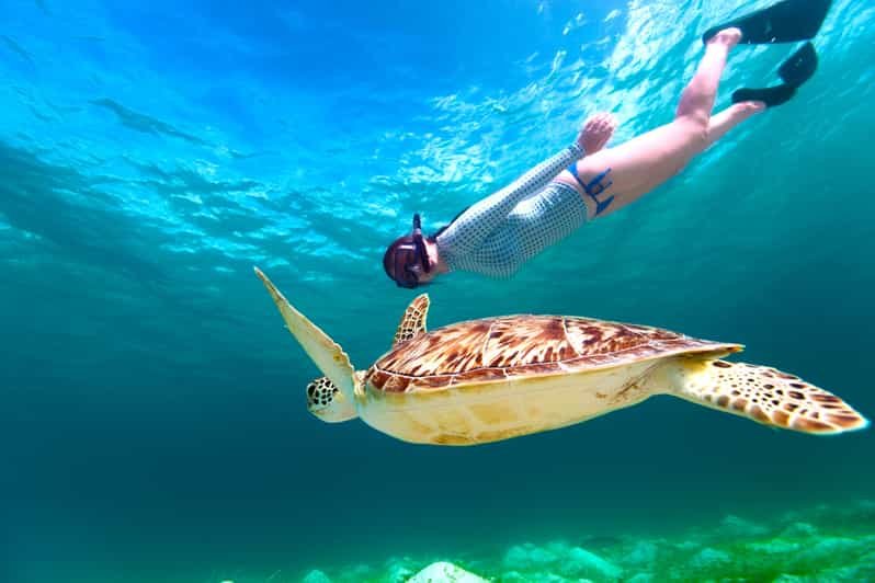 Best Snorkeling Marsa Alam