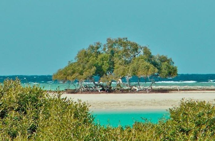 Best Things to Do in Marsa Alam
