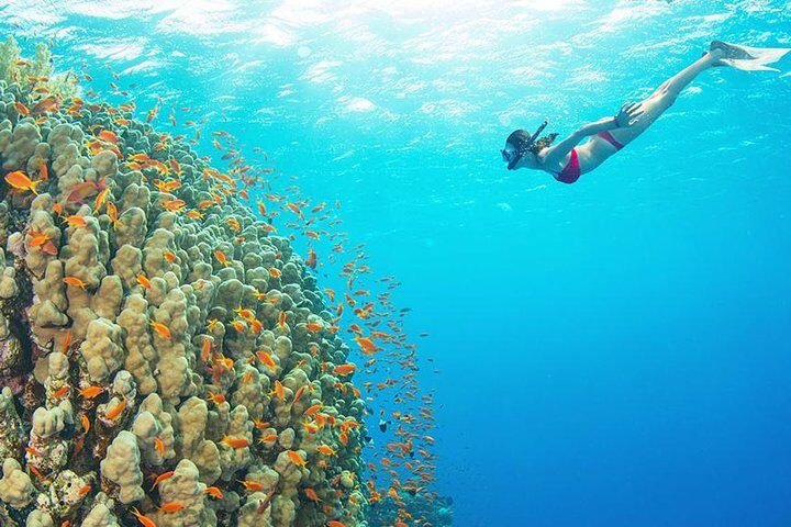 Best snorkeling spots in Egypt