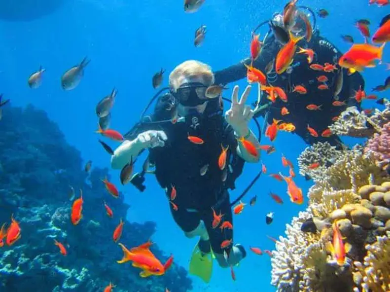 Dive Marsa Alam
