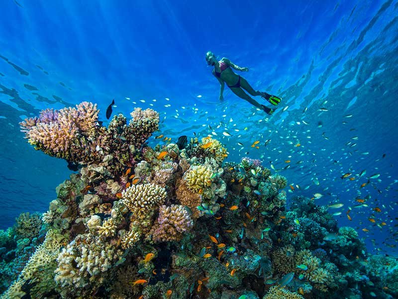 Diving trips Marsa Alam