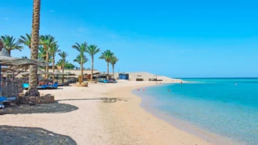 Elphistone Marsa Alam Escursioni