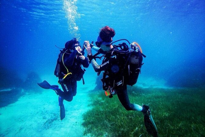 Marsa Alam Diving