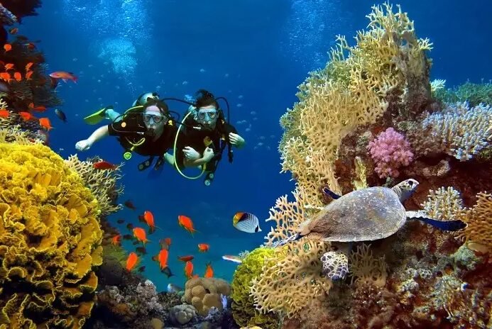 Marsa Alam Snorkeling Excursions