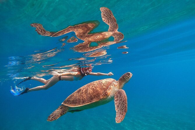 Marsa Alam snorkelen dolfijnen huis