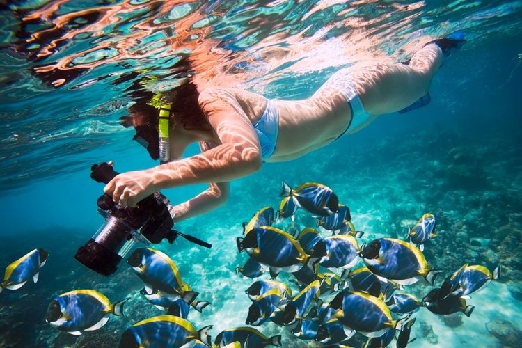 Snorkel in Egypt