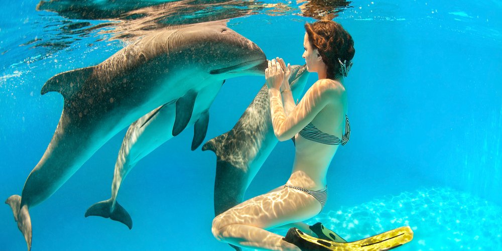 The Best House Reefs in Marsa Alam