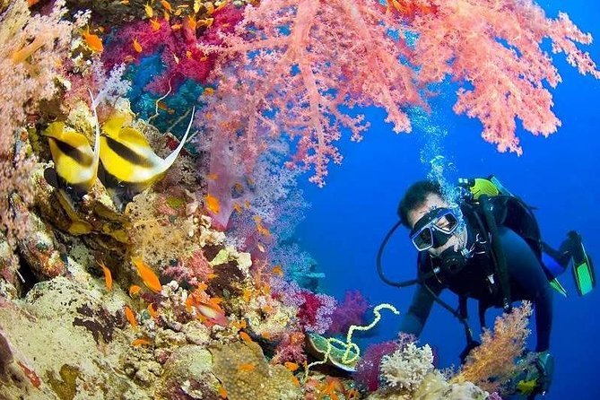 Top Hurghada Excursions