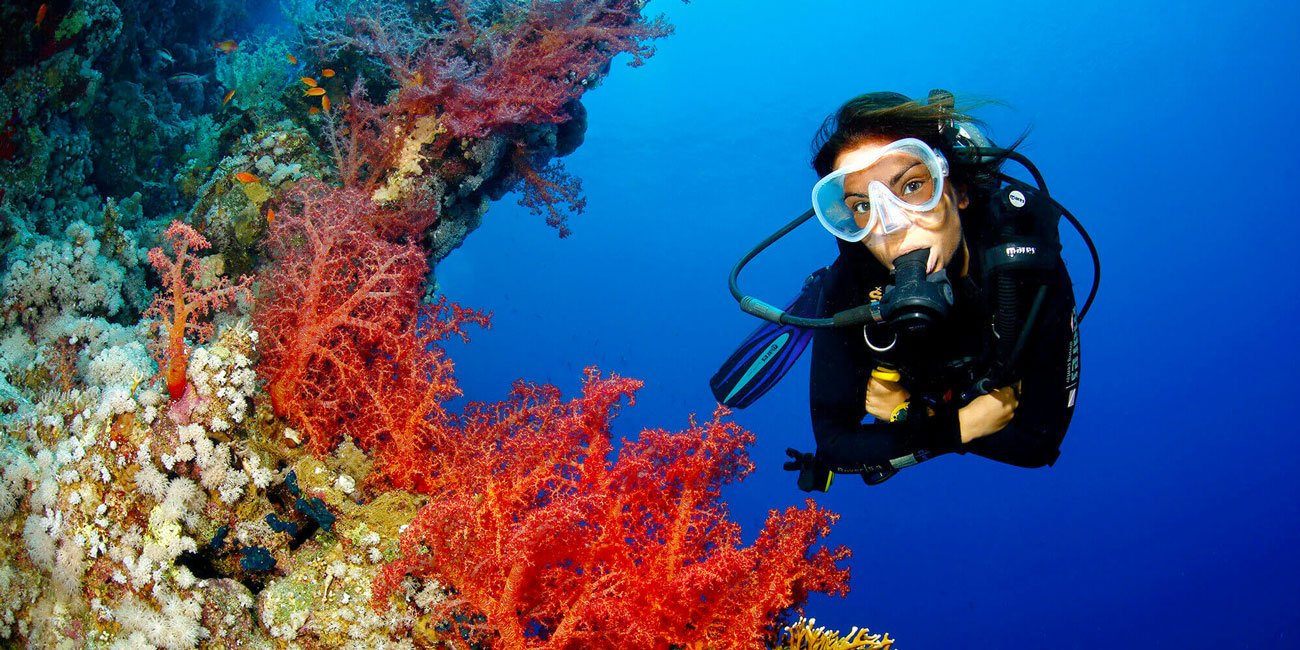 best diving Marsa Alam