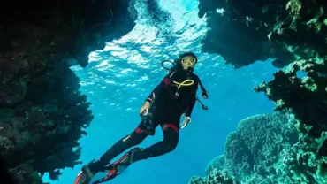 best snorkelling in egypt