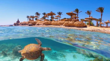 escursioni a marsa alam