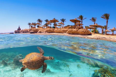 escursioni a marsa alam