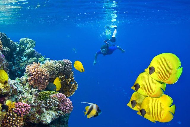 escursioni da marsa alam