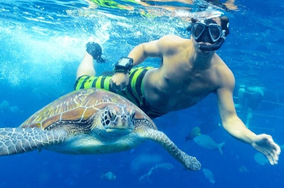 marsa alam snorkelen