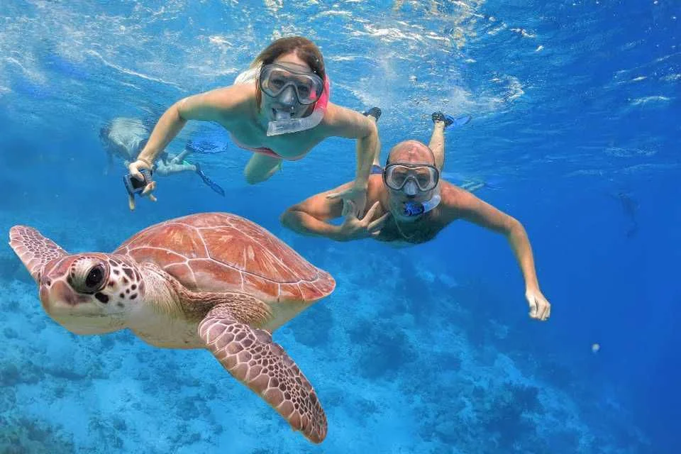 snorkeling trip in Egypt
