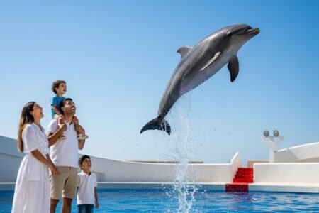 Dolphin Show Hurghada: A Magical Family Day Out