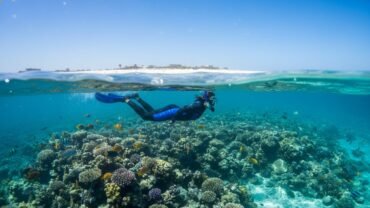 Giftun Island Snorkeling Tour: The Ultimate Guide for 2026