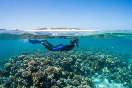 Giftun Island Snorkeling Tour: The Ultimate Guide for 2026
