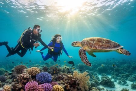 Marsa Alam Diving Packages for Beginners: Your First Underwater Adventure