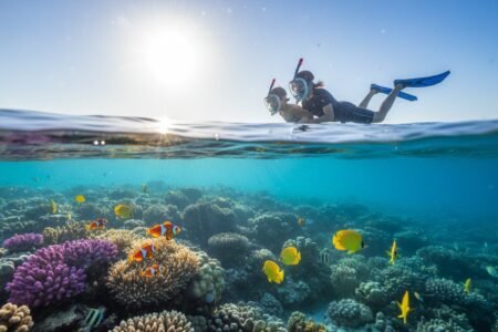Red Sea Snorkeling Tour: The Ultimate Guide for 2026