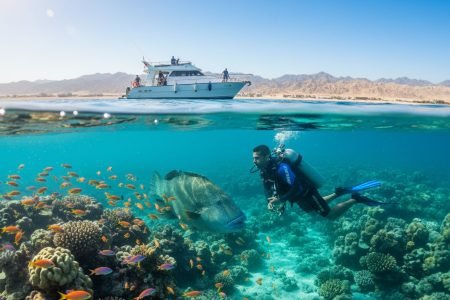 Diving in Egypt, Hurghada: Your Ultimate 2026/2026 Booking Guide