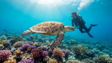 Diving in Marsa Alam: The Ultimate Guide to Egypt’s Underwater Paradise