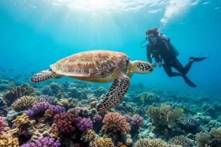 Diving in Marsa Alam: The Ultimate Guide to Egypt’s Underwater Paradise