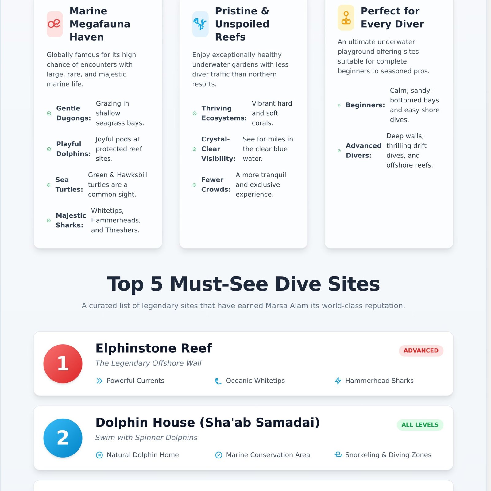 Diving in Marsa Alam: The Ultimate Guide to Egypt’s Underwater Paradise - Infographic