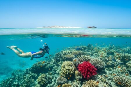 Excursions in Egypt: The Ultimate Guide to Tours & Trips (2026)