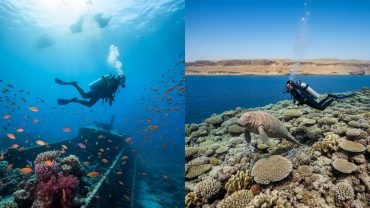 Marsa Alam vs Hurghada for Diving: Which Red Sea Destination Wins in 2026?